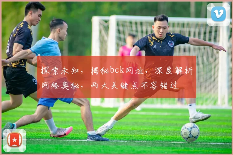 探索未知，揭秘bck网址，深度解析网络奥秘，两大关键点不容错过