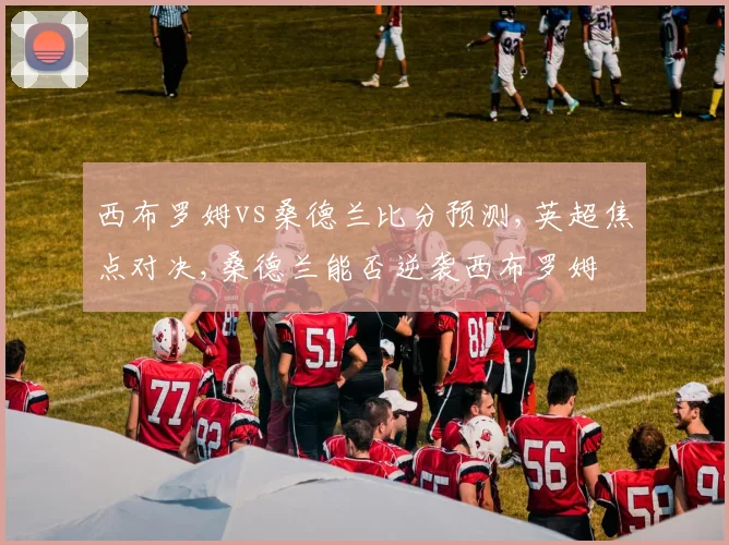 西布罗姆vs桑德兰比分预测,英超焦点对决,桑德兰能否逆袭西布罗姆