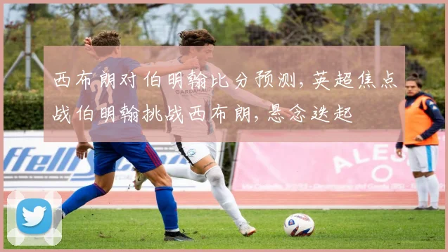 西布朗对伯明翰比分预测,英超焦点战伯明翰挑战西布朗,悬念迭起