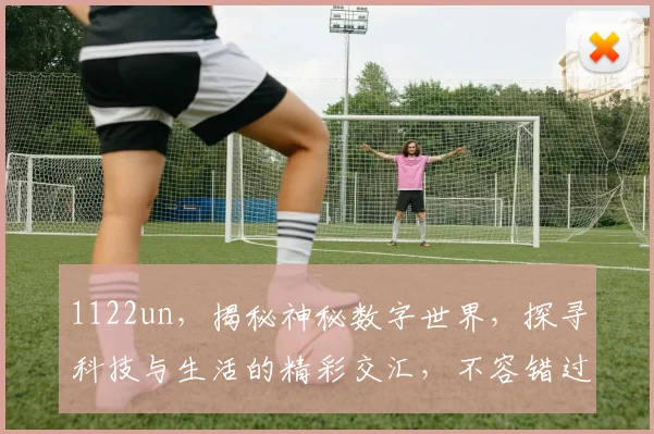 1122un，揭秘神秘数字世界，探寻科技与生活的精彩交汇，不容错过