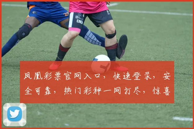 凤凰彩票官网入口，快速登录，安全可靠，热门彩种一网打尽，惊喜不断
