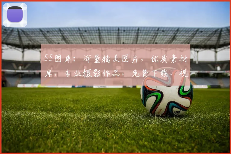 55图库：海量精美图片，优质素材库，专业摄影作品，免费下载，视觉盛宴等你来